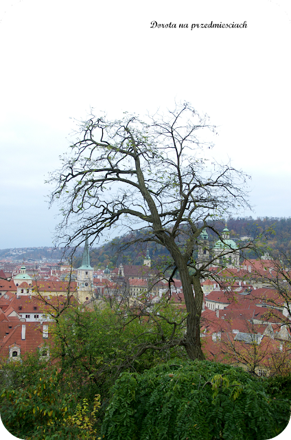 Praga na weekend, podróż na 3 dni, Czechy inaczej