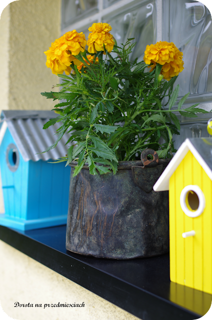 ogródek warzywny, aranzacja ogrodu, domek dla owadów, budki domki DIY