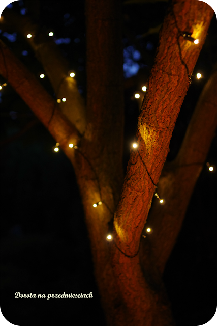 oświetlenie na ogrodzie, lampki solarne,