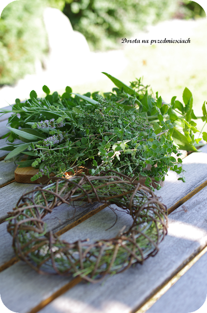 Ogródejk ziołowy, suszenie ziół, wianek z ziół zioła w kuchni