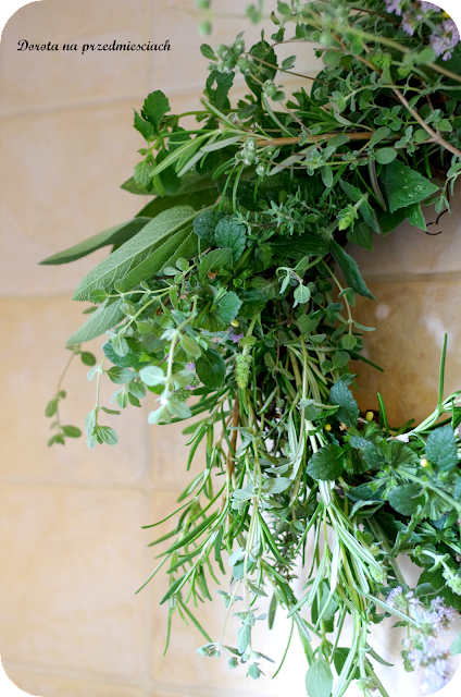 Ogródejk ziołowy, suszenie ziół, wianek z ziół zioła w kuchni