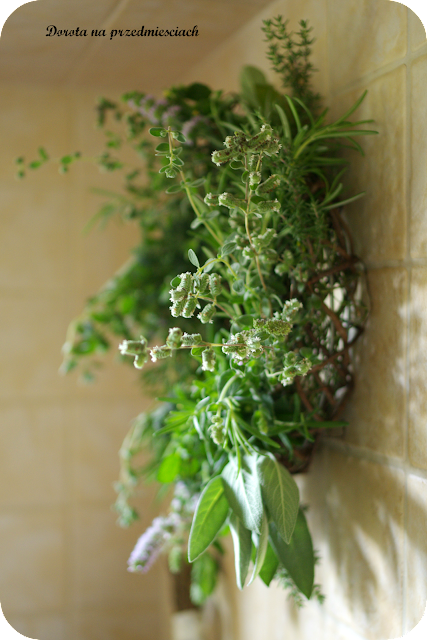 Ogródejk ziołowy, suszenie ziół, wianek z ziół zioła w kuchni