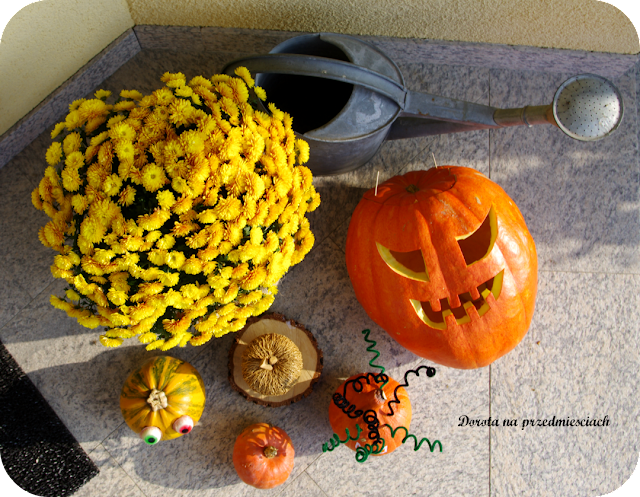 Haloween dynie zabawa na haloween ozdoby z dyni