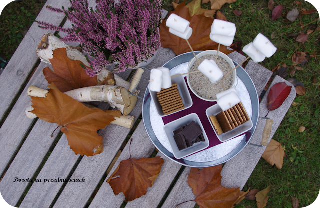 pianki marshmallow pianki z ogniska pianki na gorąco słodkości z ogniska