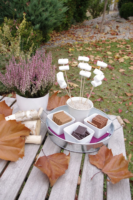 pianki marshmallow pianki z ogniska pianki na gorąco słodkości z ogniska