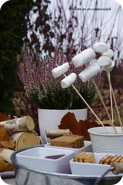 pianki marshmallow pianki z ogniska pianki na gorąco słodkości z ogniska