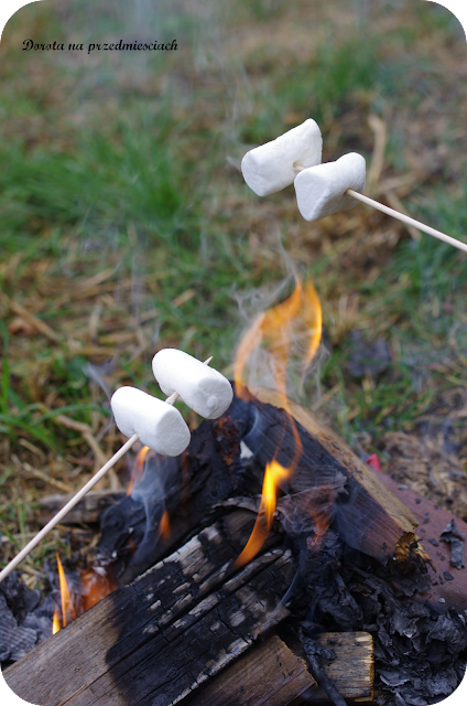 pianki marshmallow pianki z ogniska pianki na gorąco słodkości z ogniska