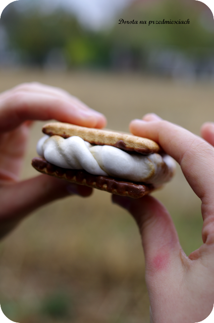 pianki marshmallow pianki z ogniska pianki na gorąco słodkości z ogniska