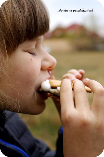 pianki marshmallow pianki z ogniska pianki na gorąco słodkości z ogniska