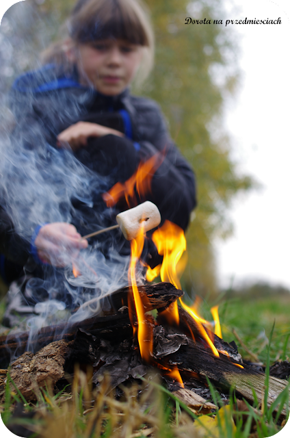 pianki marshmallow pianki z ogniska pianki na gorąco słodkości z ogniska