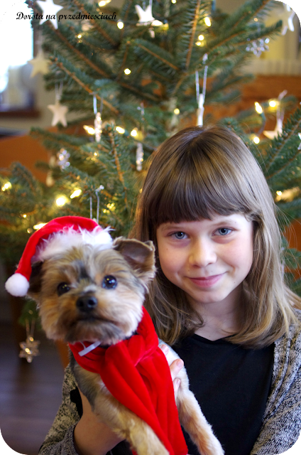 ozdoby na choinkę zrób sam, DIY, modelina, Christmas decors