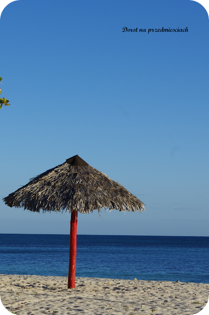 rajskie plaże, super wakacje Kuba z rodziną Kuba z dziećmi Jak zwiedzać Kubę