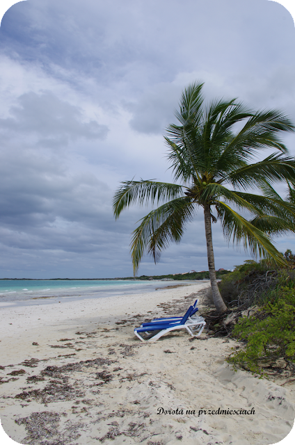 rajskie plaże, super wakacje Kuba z rodziną Kuba z dziećmi Jak zwiedzać Kubę