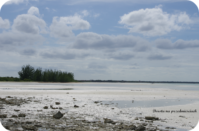 rajskie plaże, super wakacje Kuba z rodziną Kuba z dziećmi Jak zwiedzać Kubę