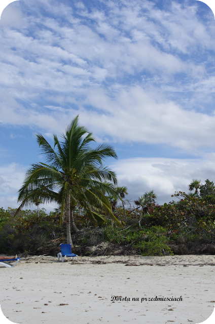 rajskie plaże, super wakacje Kuba z rodziną Kuba z dziećmi Jak zwiedzać Kubę