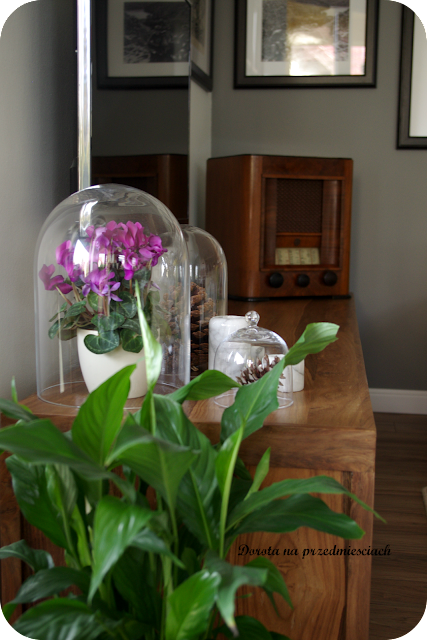 weekend ciasto tiramisu przepis salon dekoracje