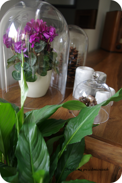 weekend ciasto tiramisu przepis salon dekoracje