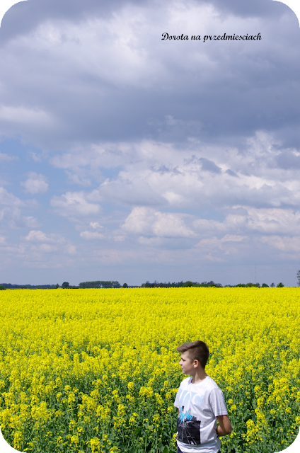 wiosna w ogrodzie spring in the garden flower kwiaty maj may