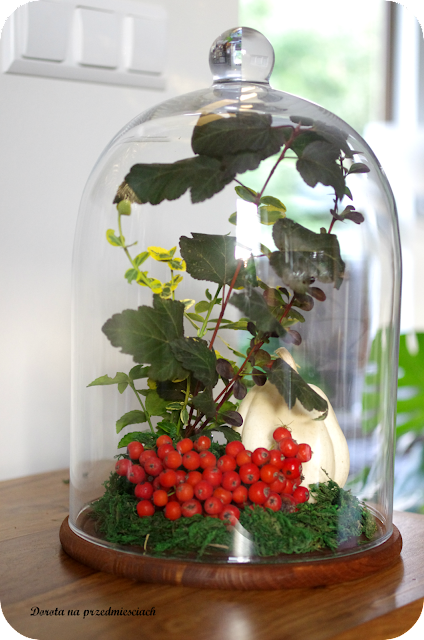 jesień autumn chloche klosz dekoracja salon homedecor