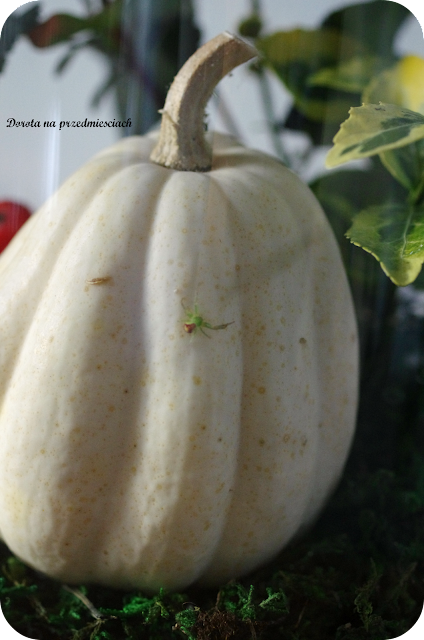 jesień autumn chloche klosz dekoracja salon homedecor