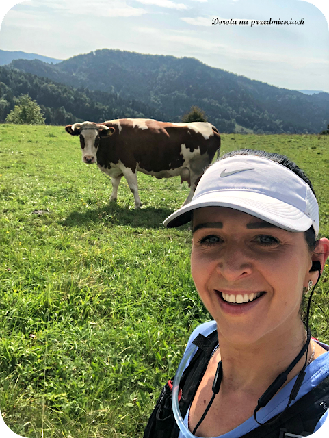 Tauron Festiwal Biegowy bieganie run trail, bieganie, maraton, weekend,