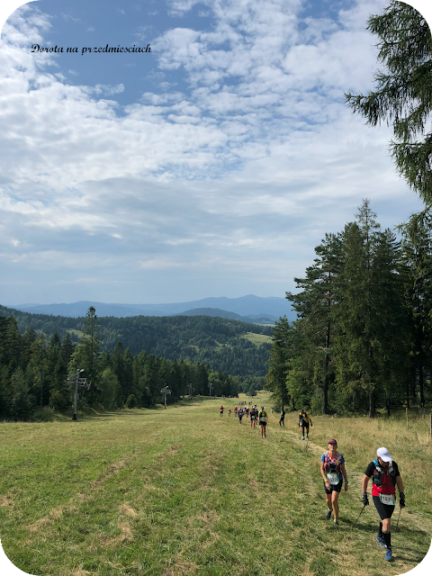 Tauron Festiwal Biegowy bieganie run trail, bieganie, maraton, weekend,